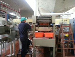 Reabren fábrica de helados Oso Polar