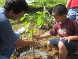 Cómo reducir la huella ecológica en las escuelas