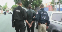 Arrestan a 255 agresores sexuales de menores en redada nacional en EUA