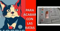 'Morris', el candigato que ganó varios votos en elecciones en México
