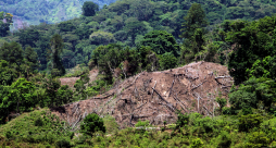 Sigue deforestación en el parque nacional Cusuco