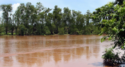 En riesgo de inundarse más de 30 aldeas de El Progreso