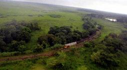 'La Bestia” se descarrila y mata al menos a cuatro hondureños