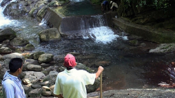Protegerán 30 fuentes de agua en El Negrito