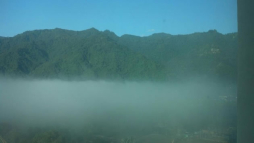 Fotos: La neblina cubrió el cielo de San Pedro Sula; anuncian frío