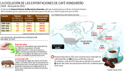 Estancada producción cafetalera hasta 2016