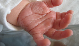 Mujer confiesa haber matado a cinco de sus hijos