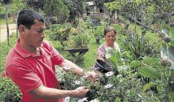 Cultivan el Edén en el patio de su hogar
