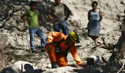 Perros hallan cadáver soterrado de su amo tras terremoto en Guatemala