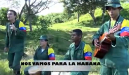 Guerrilla de las Farc confirma diálogo de paz