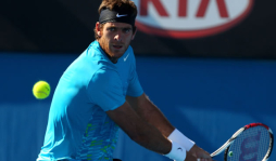 Del Potro queda fuera de la lista para la Copa Davis
