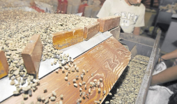 Mercado de café no está desabastecido