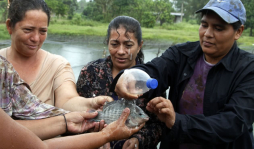 Tilapia mejora el nivel de vida de cholomeños