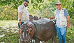 La excentricidad del 'Patrón del Mal”