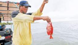 Jorge y su familia, los 'piratas del Caribe”