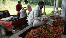 Balanza de pagos genera ganancias
