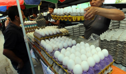 Honduras: aumentará el precio del pollo y huevos
