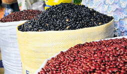 Rebaja a frijoles impidió una mayor inflación