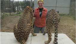 Un león mata en California a su cuidadora