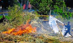 Desalojan a campesinos de fincas invadidas en San Manuel