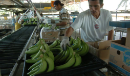 Los ganadores hondureños en el Acuerdo con Europa