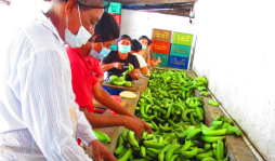 TLC Europa-EUA no afectará a Centroamérica