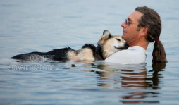 Foto en Facebook se hizo viral y le salvó la vida a un perro