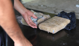 Hijos de narcos crean 'cartelitos' en España