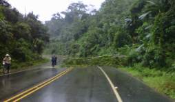 Por intensas lluvias evacuan a 43 personas en Omoa, Cortés