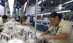 Crece exportación de arneses eléctricos