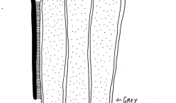 Dibuja sus compras desde hace 6 años