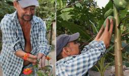 Pedro Barillas, el hondureño que tiene manos de pinza