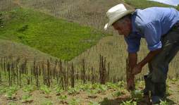 Reforma para expropiar tierras en Honduras está llena de dudas