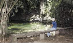 Las frutas prohibidas de Lancetilla