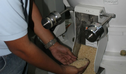 Acuerdan en L400 precio del arroz