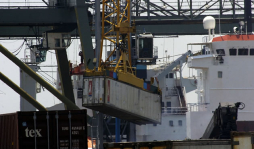 Exportación reporta un alza