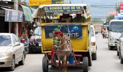 Richard Rodríguez con su 'caballo publicista” enfrenta la adversidad