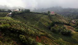 Plantean reforma a la cota 200 de El Merendón