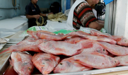 Sanidad vigilará las ventas