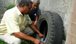 Sancionan a llanteras por incumplir ordenanza