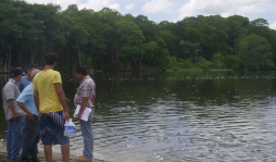 Mortandad de peces en laguna Los Micos en Tela