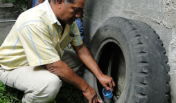 Operativos para evitar el dengue