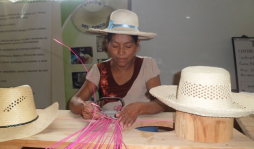 Las amas del junco claman por apoyo