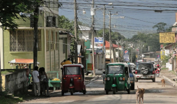 Productores de Santa Rita, Yoro, fabricarán bioetanol de la caña