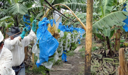 L5,000 al mes pagarán empresas por uso de suelos en Santa Rita