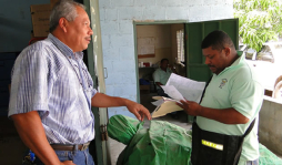 Investigan si murciélagos están transmitiendo rabia a perros