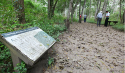 Parque Currusté y Jucutuma están condenados al abandono