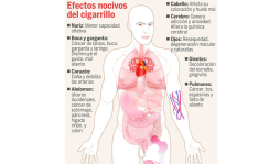 A medias se cumple la Ley Antitabaco en Honduras