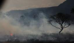 Grupo de la ONU sobre mercenarios inicia mañana una visita a Honduras
