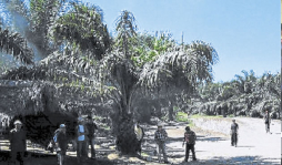 Tierras del Aguán no serán vendidas